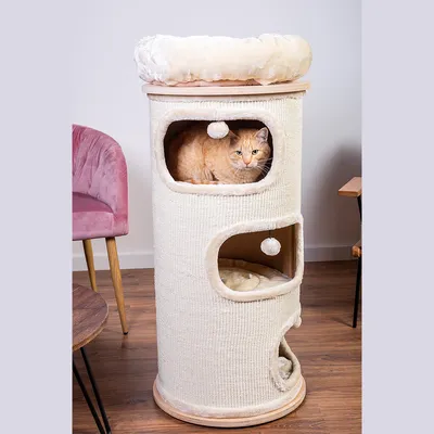 Kratzbaum mit drei Ebenen, Sisal-Oberfläche und Plüschkissen. Orangefarbene Katze sitzt in der mittleren Ebene. Obere Ebene mit rundem Liegekissen.
