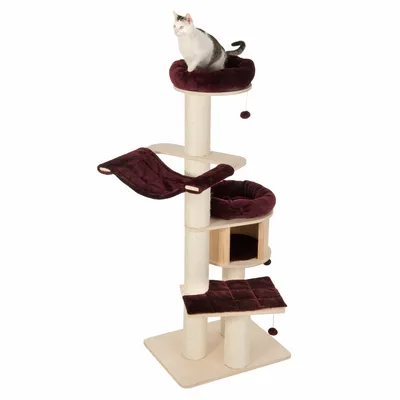 Multi-level cat tree with platforms, hammock, cushioned beds, enclosed hideaway and scratching posts. A cat is sitting on the top bed. Hanging pompom toys are attached.