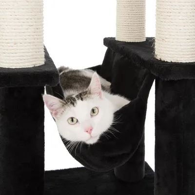 Kratzbaum mit schwarzer Hängematte und Sisal umwickelten Säulen. Weisse Katze liegt in der Hängematte.