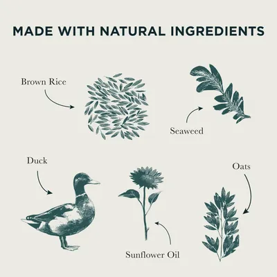 Made with natural ingredients: brown rice, seaweed, duck, sunflower oil, and oats. English text in image.