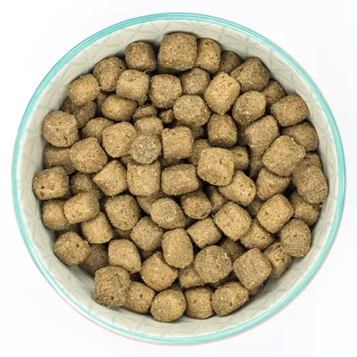 Vue rapprochée de croquettes marron en forme de cubes dans une gamelle ronde à bord turquoise, sans marque visible ni texte.