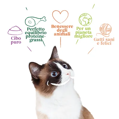 Cibo puro, Perfetto equilibrio proteine-grassi, Benessere degli animali, Per un pianeta migliore, Gatti sani e felici. Testo sopra un gatto bianco e marrone.