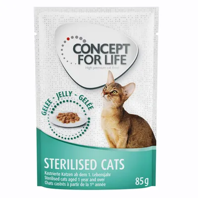Συσκευασία Concept for Life Sterilised Cats 85g, τροφή γάτας σε ζελέ. Εμφανίζεται γάτα και πιάτο με τροφή. Ορατό κείμενο στα αγγλικά, γερμανικά και γαλλικά.