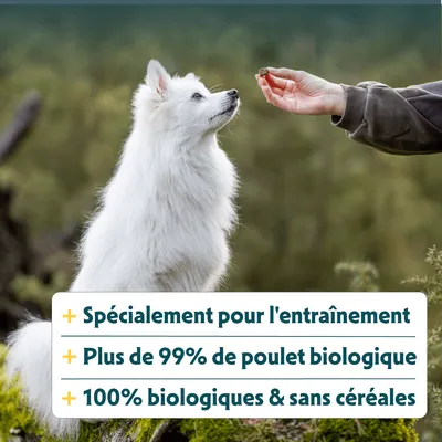 Texte sur l'image : Spécialement conçu pour l'entraînement, Plus de 99 % de poulet biologique, 100 % biologique et sans céréales.