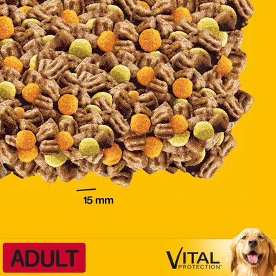 Crocchette per cani adulti, dimensione 15 mm, testo visibile: ADULT, VITAL PROTECTION, immagine di un cane in basso a destra.