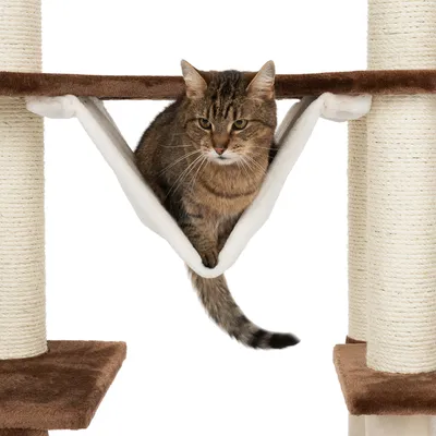 Cat tree with white fabric hammock, brown platforms and sisal posts. Cat sitting in the hammock.