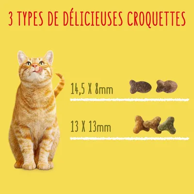 3 types de délicieuses croquettes pour chat, formes visibles : 14,5 x 8 mm et 13 x 13 mm, illustrées à côté d’un chat roux assis. Texte en français.