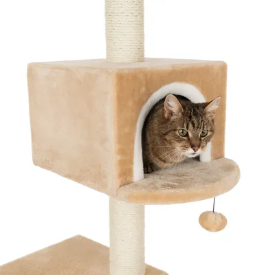 Cat tree with beige plush cover, cave and play ball. Cat looking out from the cave.