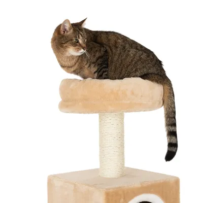 Brown tabby cat sitting on a beige scratching post with padded lying surface and sisal post.