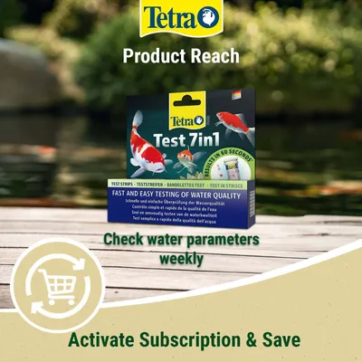 Tetra Test 7in1 teststrimler til hurtig kontrol af vandkvaliteten. Ugentlig kontrol anbefales. Aktiver abonnement og spar. Tetra Test 7in1 teststrimler til hurtig kontrol af vandkvaliteten. Ugentlig kontrol anbefales. Aktiver abonnement og spar.