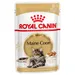 Royal Canin Maine Coon Adult in Gravy
