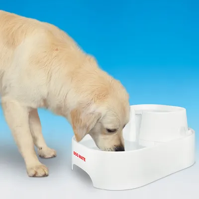 Câine bând apă din fântână albă pentru animale, inscripționată DOG MATE. Fântâna are bazin și element de curgere vizibile.