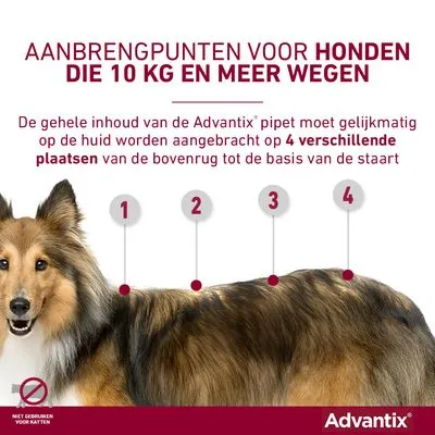 Advantix® 400/2000 Spot-On Solution voor Honden 25 - 40 kg