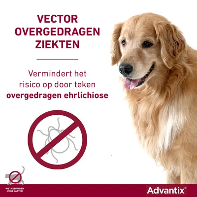 VECTOR OVERGEDRAGEN ZIEKTEN. Vermindert het risico op door teken overgedragen ehrlichiose. Niet gebruiken voor katten. Advantix.