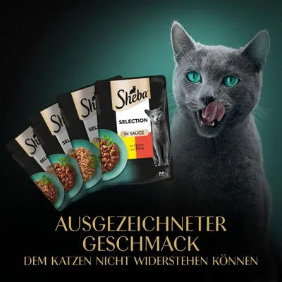 Sheba Selection in Sauce mit Huhn und Rind 85 g, texte allemand : Ausgezeichneter Geschmack dem Katzen nicht widerstehen können. Chat gris à côté des sachets.
