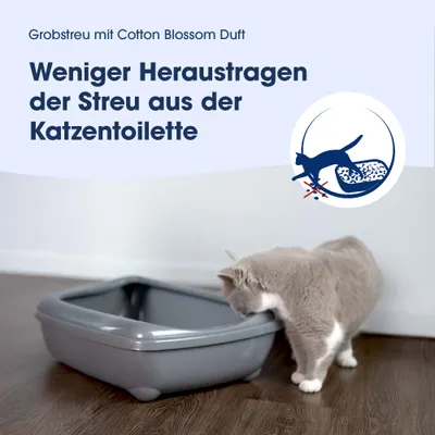 Biokat's Classic 3in1 Fresh Katzenstreu Baumwollblüte