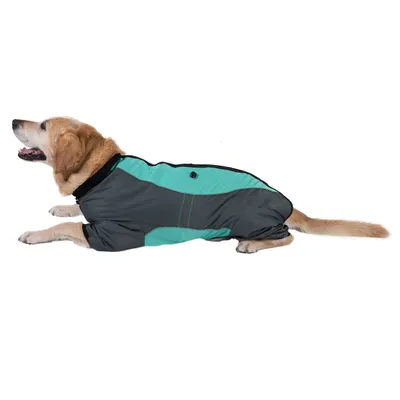 Cane con cappotto grigio-turchese con chiusura a bottoni, adatto per protezione dal freddo o dall'umidità.