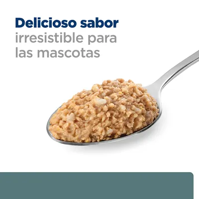 Delicioso sabor irresistible para las mascotas, texto sobre una cuchara con comida húmeda para mascotas.