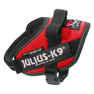 JULIUS-K9 punaiset koiran valjaat, teksti: IDC by JULIUS-K9, JULIUS-K9 Glowing in dark. Musta kahva ja metallinen kiinnityslenkki näkyvissä.