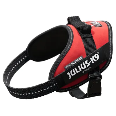 Rotes Julius-K9 IDC-Power-Geschirr mit schwarzem Gurt und reflektierenden Nähten, sichtbar ist der Markenname auf dem Geschirr.