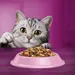 Whiskas 1+ Sterile Pui