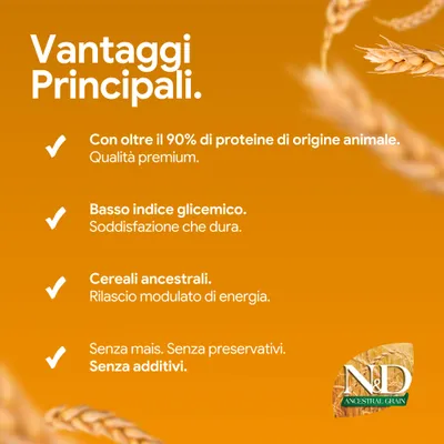 Vantaggi principali: oltre il 90% di proteine animali, basso indice glicemico, cereali antichi, senza mais, senza conservanti, senza additivi. N&D Ancestral Grain.