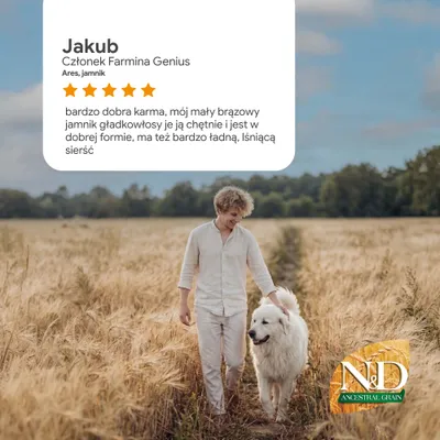 Opinia klienta Jakub: bardzo dobra jakość karmy, pies chętnie je i ma lśniącą sierść. 5 gwiazdek. Logo N&D Ancestral Grain w prawym dolnym rogu.