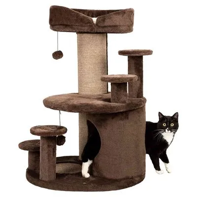 Árvore para gatos castanha com vários patamares, poste de sisal, brinquedo pendurado e toca; gato preto e branco visível ao lado da estrutura.