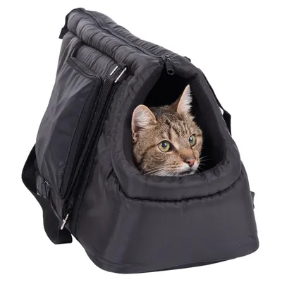 Sac de transport noir en tissu avec un chat tigré à l’intérieur, ouverture zippée visible sur le côté, poignée et bandoulière apparentes.