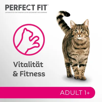 Perfect Fit. Tukee kehon kokonaisvaltaista terveyttä. Elinvoima ja kunto. Aikuiset 1+.