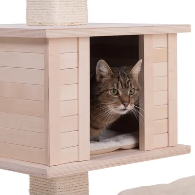 Katt i klösträd med hus av ljust trä och repklädda stolpar, mjuk kudde synlig inuti huset.