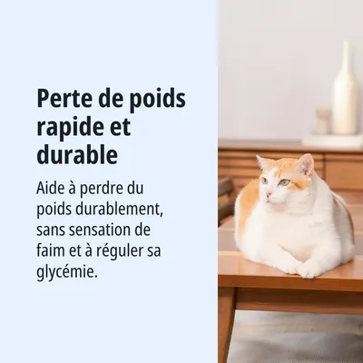 Perte de poids rapide et durable. Aide à perdre du poids de façon durable, sans sensation de faim, et régule la glycémie. Perte de poids rapide et durable. Aide à perdre du poids de façon durable, sans sensation de faim, et régule la glycémie.