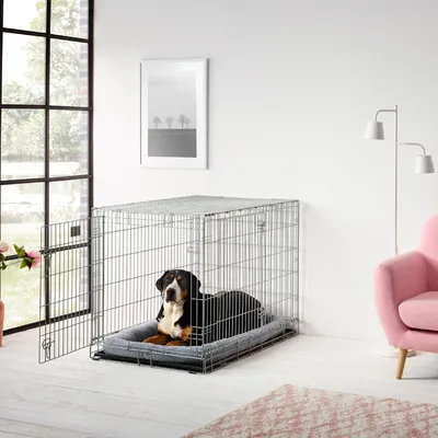 Metall-Hundebox mit offener Tür, graues Kissen im Inneren, platziert in einem modernen Wohnzimmer mit rosa Sessel und Lampe.