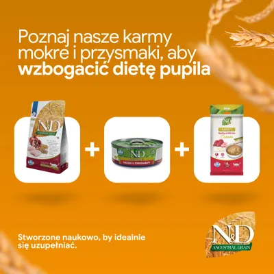 N&D Ancestral Grain karma sucha, N&D Prime Chicken i Pomegranate karma mokra oraz N&D Adult Cream przekąska obok siebie na pomarańczowym tle. N&D Ancestral Grain karma sucha, N&D Prime Chicken i Pomegranate karma mokra oraz N&D Adult Cream przekąska obok siebie na pomarańczowym tle.