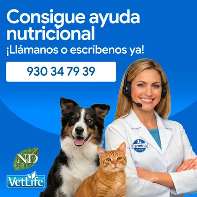 Obtén asesoramiento nutricional. Número de teléfono: 930 34 79 39. Marcas: ND, VetLife, Farmina Pet Foods. Obtén asesoramiento nutricional. Número de teléfono: 930 34 79 39. Marcas: ND, VetLife, Farmina Pet Foods.