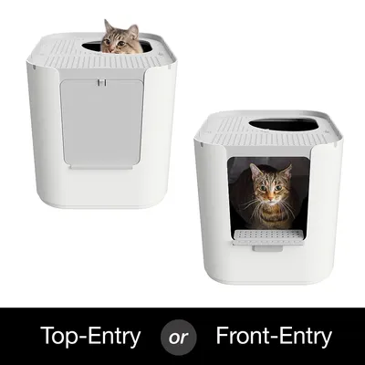 Caja de arena blanca para gatos con dos opciones de entrada: superior y frontal. Un gato asoma por la parte superior y otro está dentro visible por la puerta frontal. Texto: Top-Entry o Front-Entry.