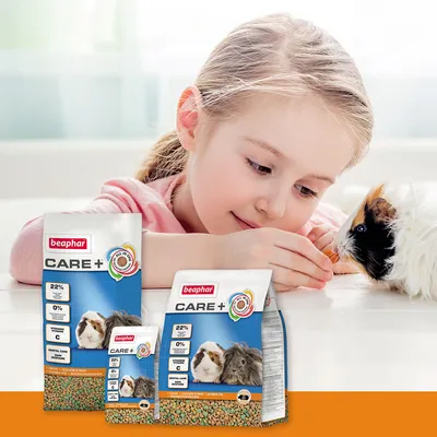 beaphar CARE+ marsvinefoder, tre poser med billeder af marsvin, tekst: 22 % protein, 0 % tilsat sukker, vitamin C, dental care. Marsvin ses ved siden af poserne.