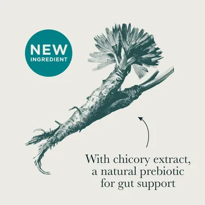 New ingredient: With chicory extract, a natural prebiotic to support digestive health. New ingredient: With chicory extract, a natural prebiotic to support digestive health.