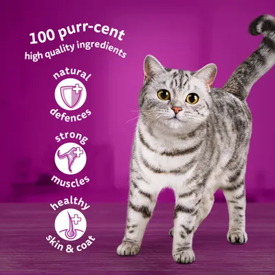 100 purr-cent high quality ingredients. Natural defences, strong muscles, healthy skin & coat. Text in English with icons beside a grey tabby cat on purple background.