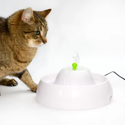 Trinkbrunnen mit sprudelndem Wasser und grünem Ball, Katze beobachtet den Brunnen. Elektrisches Kabel sichtbar.