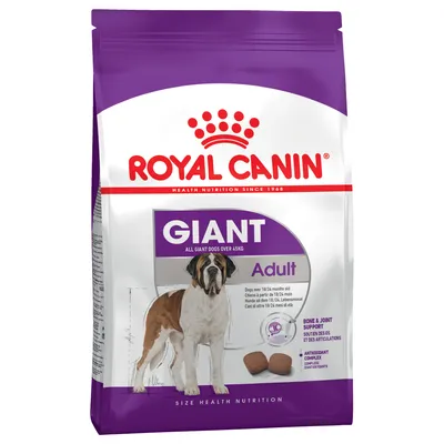 Royal Canin Giant Adult, Trockenfutter für ausgewachsene Hunde über 45 kg, Abbildung eines großen Hundes und Kroketten, Hinweise zu Knochen- und Gelenkunterstützung.