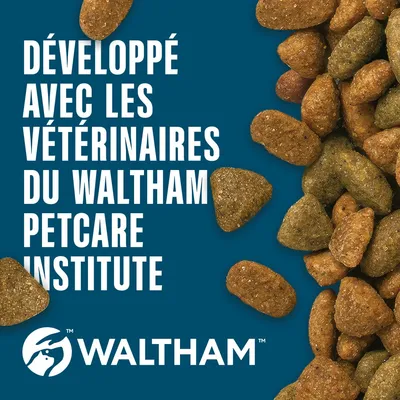Développé avec des vétérinaires de l’Institut Waltham Petcare. Marque WALTHAM visible, croquettes illustrées. Développé avec des vétérinaires de l’Institut Waltham Petcare. Marque WALTHAM visible, croquettes illustrées.
