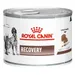 Royal Canin Veterinary Feline Recovery Mousse