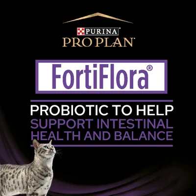 FortiFlora probiotic to help support intestinal health and balance. Purina Pro Plan branding visible. Image includes a cat.
