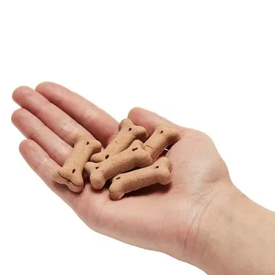 Hand met zes kleine, botvormige hondenkoekjes zonder zichtbare merknaam of verpakking.
