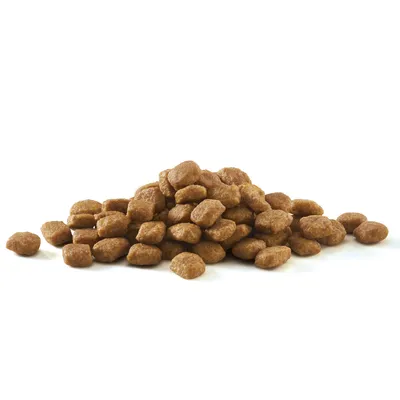 Pile of brown dry pet food kibble pieces on a white background. No visible brand or packaging.