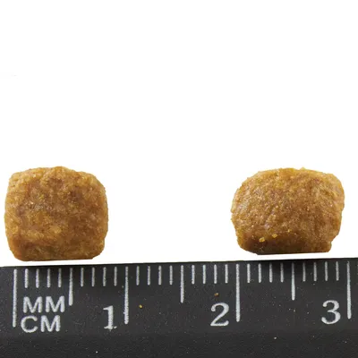 Deux croquettes pour animaux posées devant une règle graduée en centimètres et millimètres, montrant la taille d’environ 1,5 à 2 cm chacune.