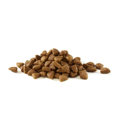 Pile of dry brown triangular kibble pieces on white background, no visible packaging or branding