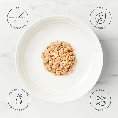 Encore Cat Tin 16 x 70g - Tuna Fillet with Shrimp Encore Cat Tin 16 x 70g - Tuna Fillet with Shrimp