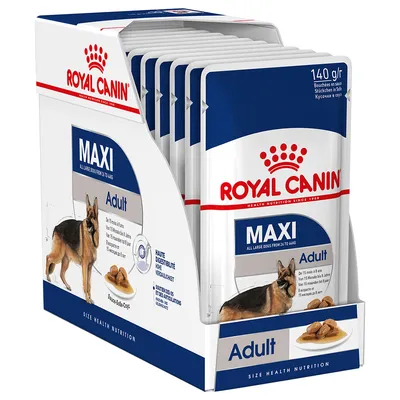 Упаковка паучей Royal Canin Maxi Adult 140 г, изображение крупной собаки, надписи: MAXI, Adult, для собак от 15 месяцев до 8 лет, кусочки в соусе.